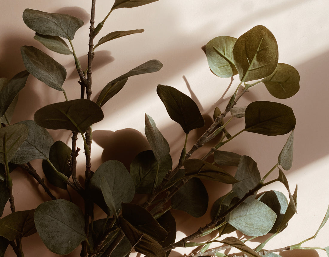 Effortless Ways to Actively Be More Sustainable