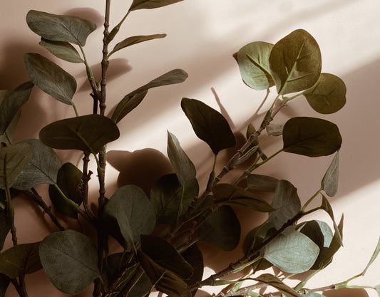 Effortless Ways to Actively Be More Sustainable