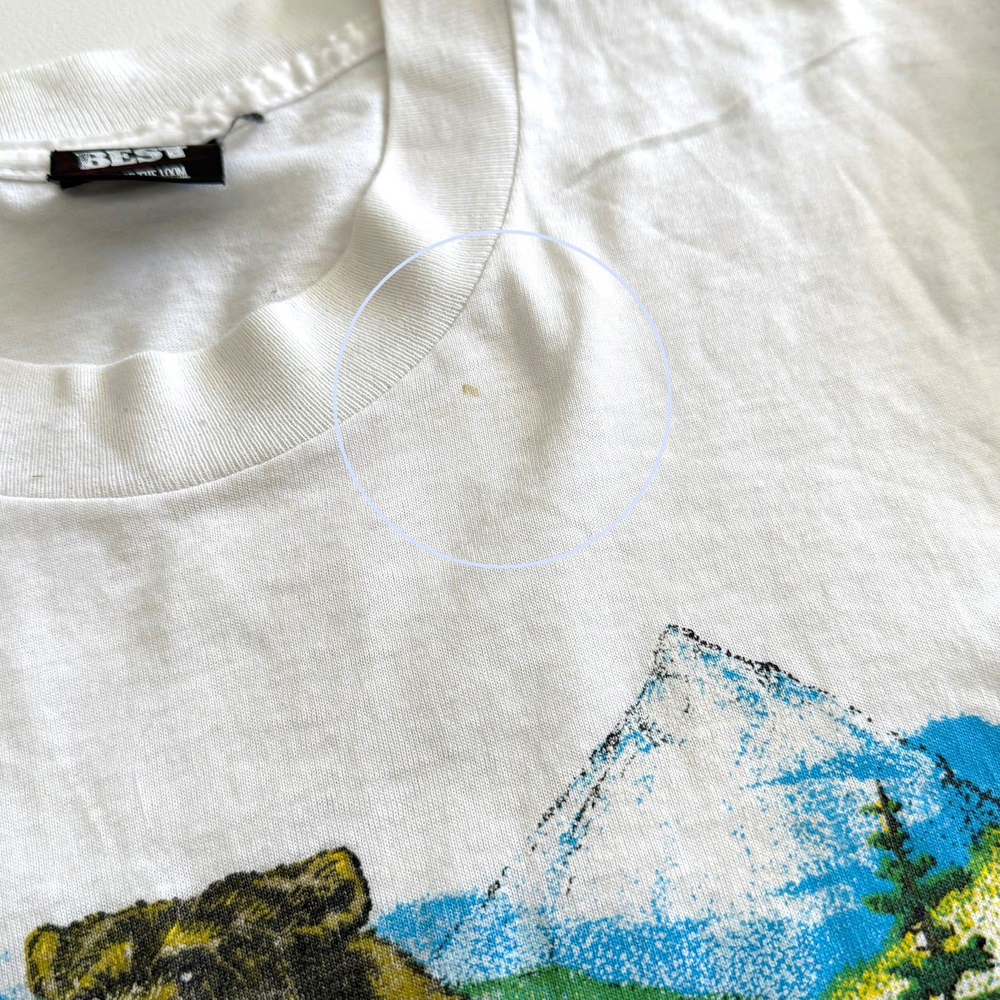 Vintage Nature Sauvage Collection, Bear T-Shirt