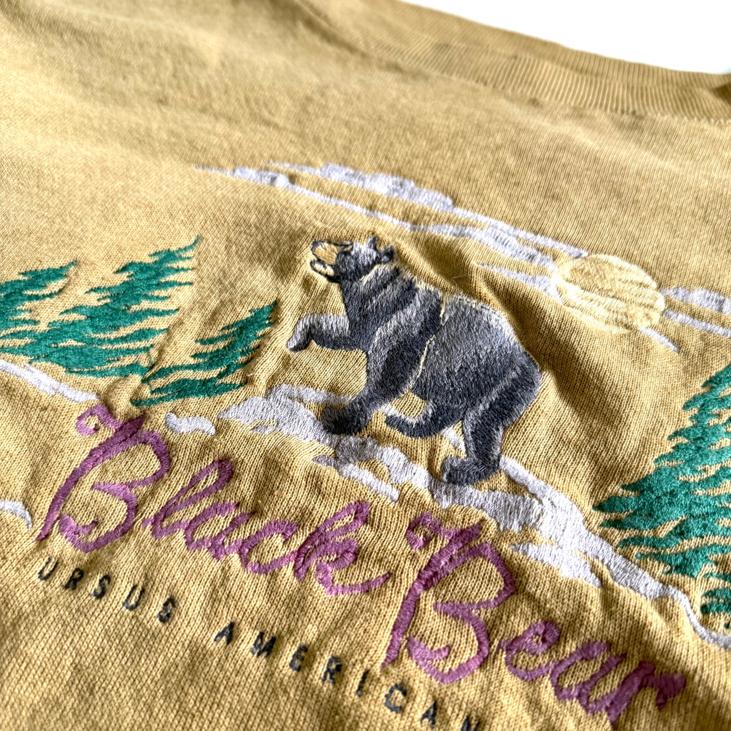 Vintage Distressed Cotton Grove, Black Bear Sweatshirt