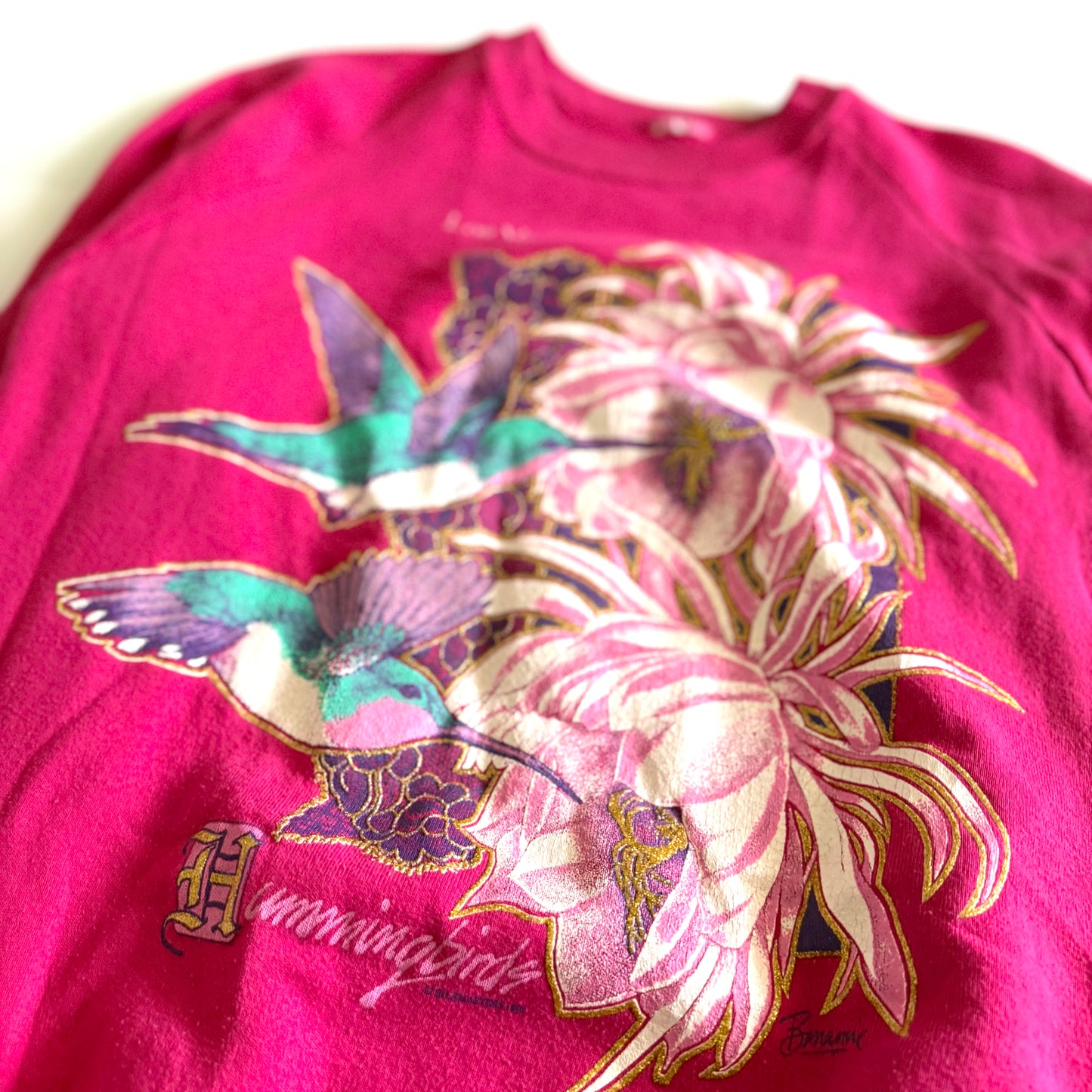 Vintage Los Vegas, Hummingbirds Sweatshirt