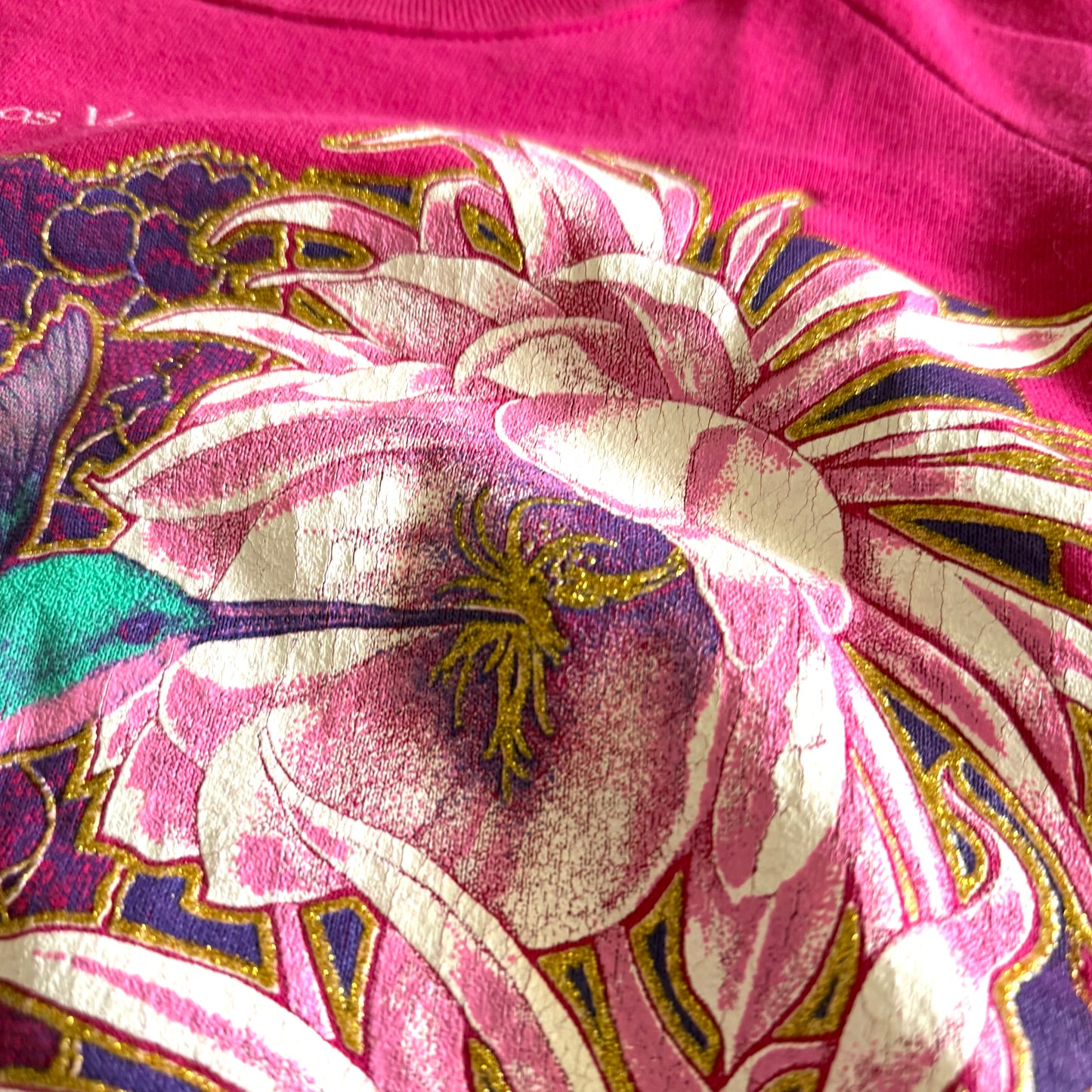 Vintage Los Vegas, Hummingbirds Sweatshirt