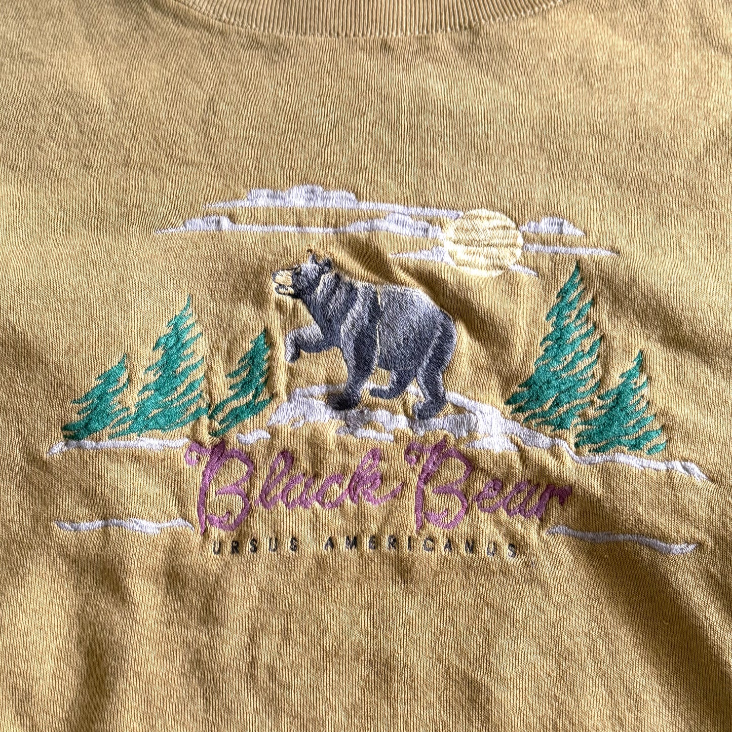 Vintage Distressed Cotton Grove, Black Bear Sweatshirt