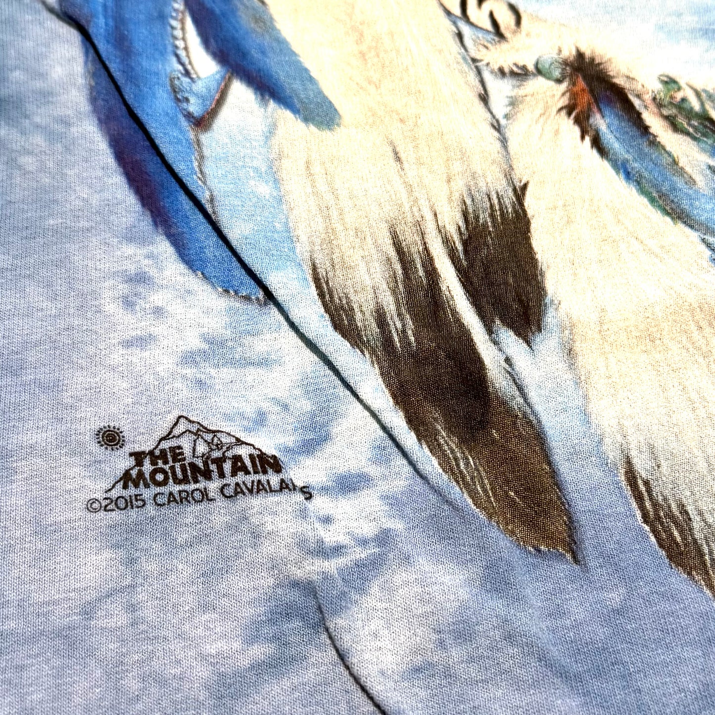 Secondhand The Mountain, Wolf & Dream Catcher T-Shirt