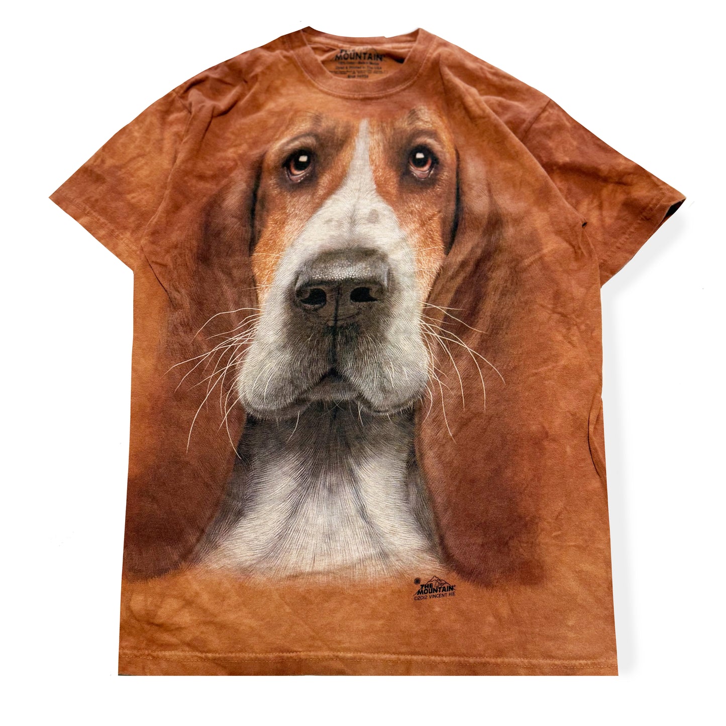 Secondhand The Mountain, Basset Hound Dog T-Shirt